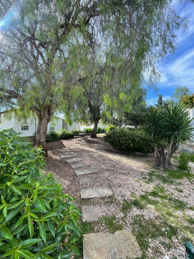 Apartamento Varandas Do Mar Albufeira Dış mekan fotoğraf